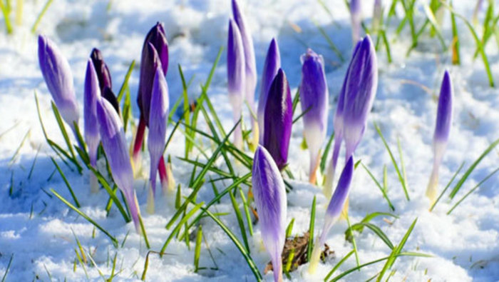 Spring Main D5027073b6