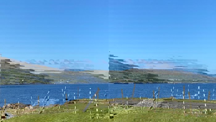 Kelvin Main 8D39957fa1